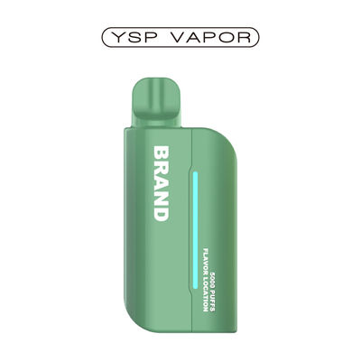 Oplaadbare vape pen 15000 Puffs Pod System Vape voorgevulde mesh spoel