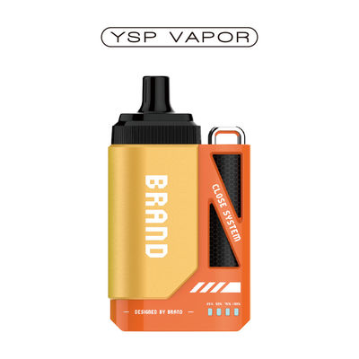 Elektronische sigaret 6000 puffs Vape Pod System 10 ml Hervulbaar Pod System