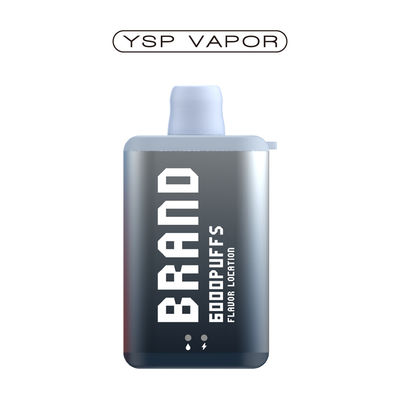 10 ml 6000 Puff Vape E Cigarette Oplaadbare Wegwerp Vape Doos