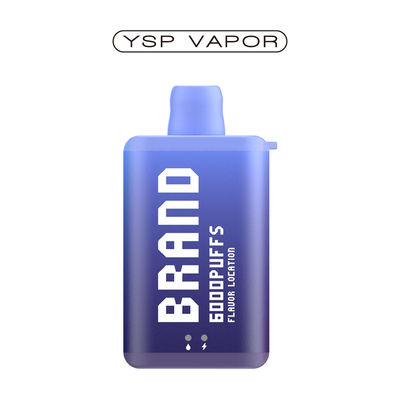 10 ml 6000 Puff Vape E Cigarette Oplaadbare Wegwerp Vape Doos