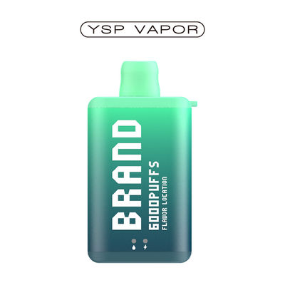 10 ml 6000 Puff Vape E Cigarette Oplaadbare Wegwerp Vape Doos