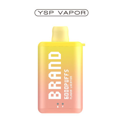 10 ml 6000 Puff Vape E Cigarette Oplaadbare Wegwerp Vape Doos