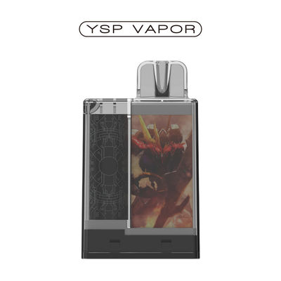 1.2 Ohm 6000 Puffs Pod-systeem 10 ml oplaadbare Vape Pod-kits